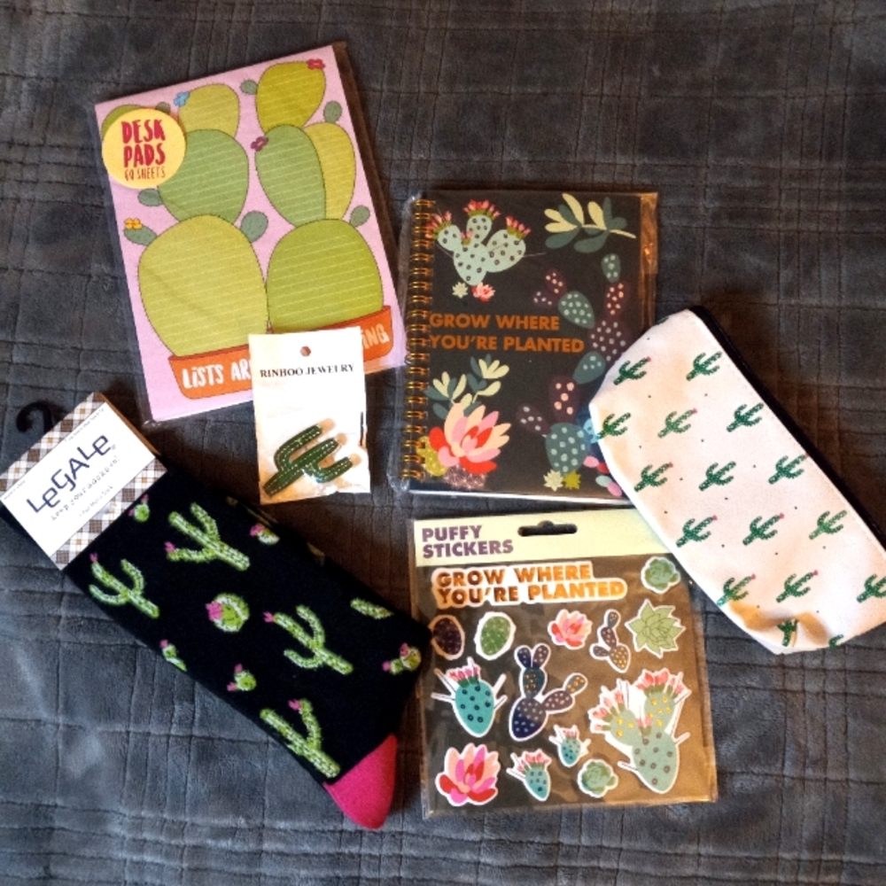 Cactus pattern bundle. socks, desk pads, mini notebook, stickers, pin and case